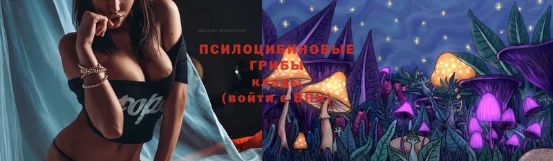 хочу   Майский  Псилоцибиновые грибы Cubensis 